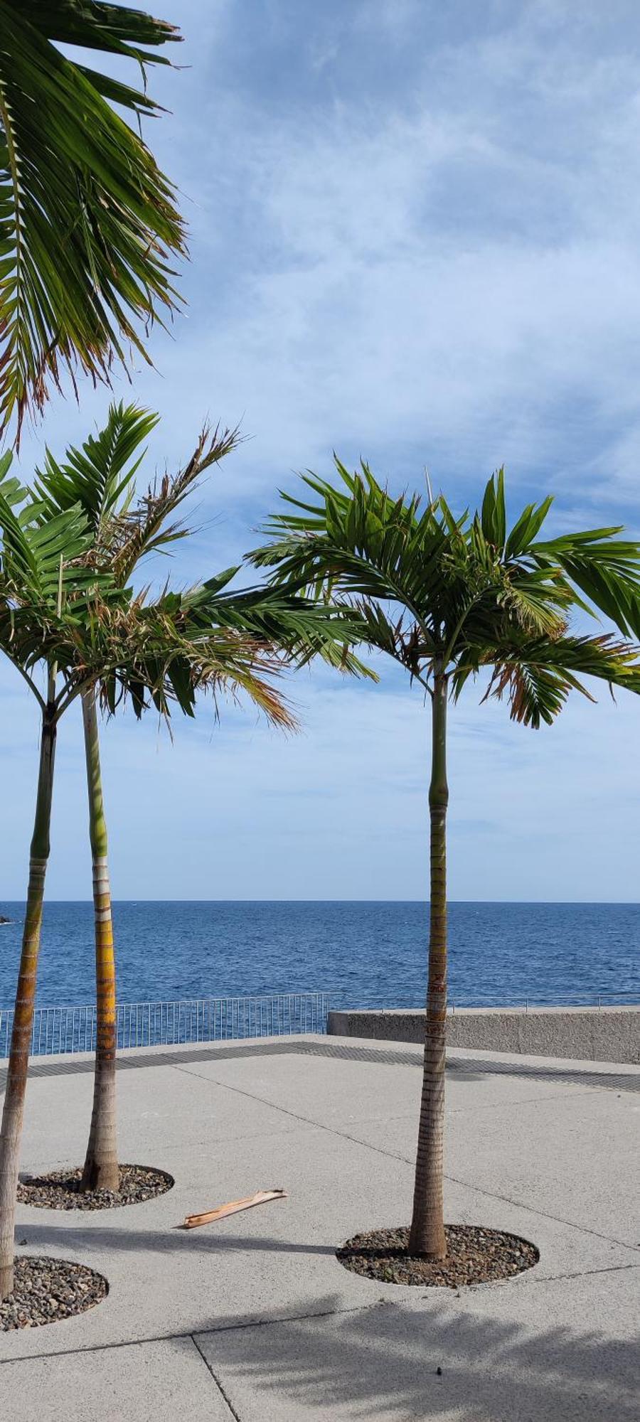 Vivienda Vacacional Atlantida Candelaria Eksteriør bilde